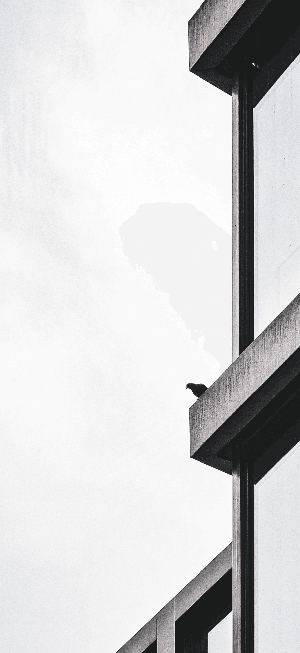 banner img