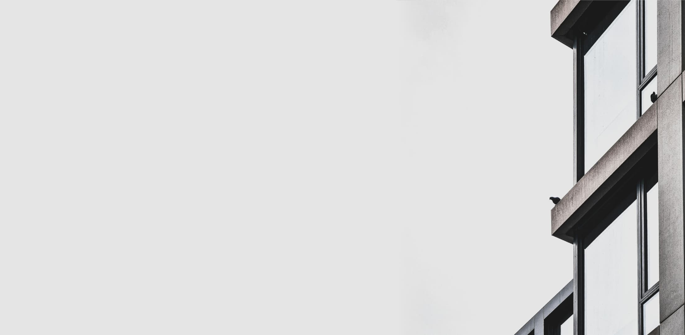 banner img